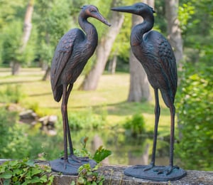 Large Standing Crane Herons Pair