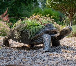 Large Tortoise Metal Planter