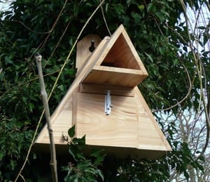 Little Owl Nesting Box