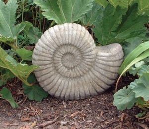 Lucas Stone Grand Ammonite Ornament