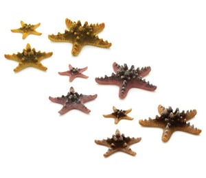 biOrb Aquarium Sea Stars Ornaments