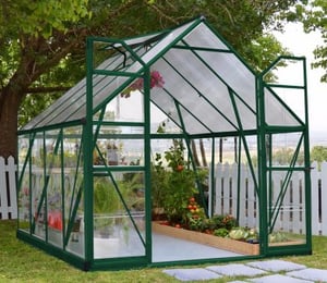 Palram Canopia Balance 8 x 8 ft Green Greenhouse