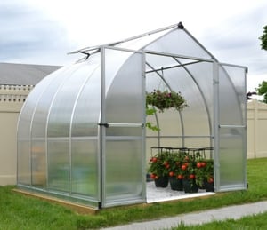 Palram Canopia Bella 8 x 8 ft Greenhouse