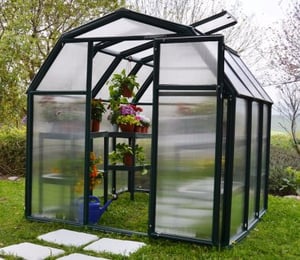 Palram Canopia Rion EcoGrow 6 x 6 ft Greenhouse