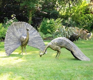 Peacock Garden Ornaments