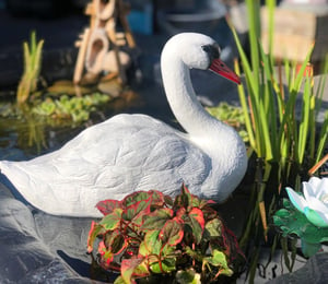 PondXpert Small Ornamental Floating Swan