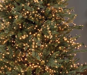 Premier 1500 Vintage Gold TREEBrights Christmas Lights