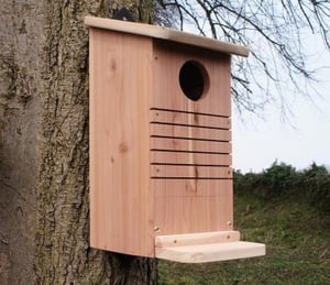 Red Squirrel Nesting Box