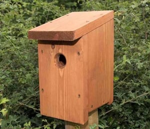 Riverside Woodcraft Multi-Species Nest Box