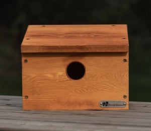 Riverside Woodcraft Starling Nest Box