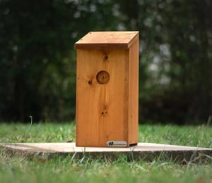 Riverside Woodcraft Woodpecker Nest Box