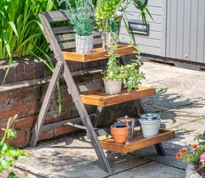 Rowlinson Alderley Small Plant Ladder