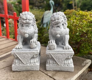 Small Temple Dogs Pair in Granite