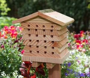 Stacking Solitary Bee Hive