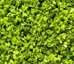 Verde Super Verdegrass 12mm Artificial Grass