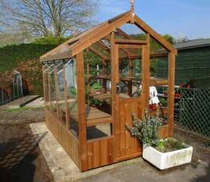 Swallow Robin 5 x 8 ft Thermowood Greenhouse