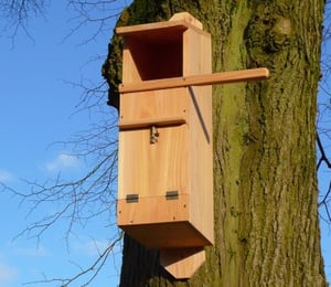 Tawny Owl Nesting Box