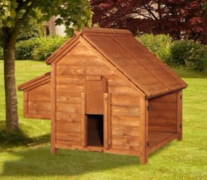 The Hutch Company Sally Hen House 4 x 5 ft Chicken Coop 
