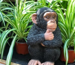 Vivid Arts Baby Chimpanzee Ornament