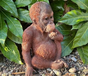 Vivid Arts Baby Orangutan Ornament