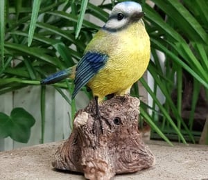 Vivid  Arts Singing Blue Tit Song Bird