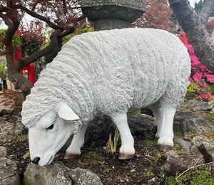Vivid Arts Grazing Sheep Ornament