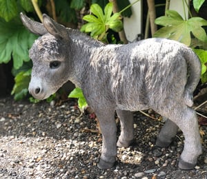Vivid Arts Large Baby Donkey Ornament
