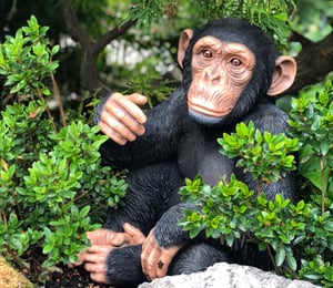 Vivid Arts Large Sitting Chimpanzee Ornament