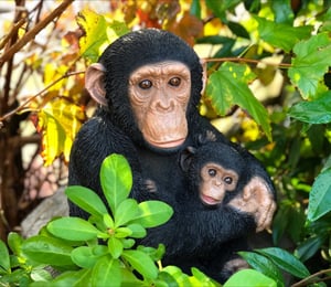 Vivid Arts Mother and Baby Chimp