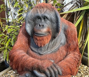 Vivid Arts Orangutan Ornament