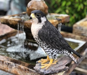 Vivid Arts Peregrine Falcon Ornament