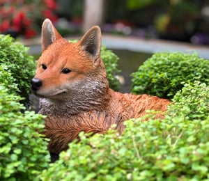 Vivid Arts Resting Fox Ornament 