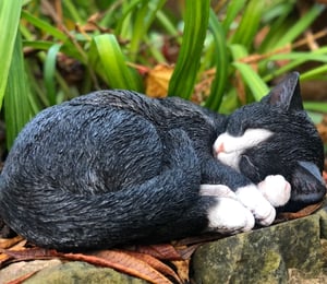 Vivid Arts Sleeping Black and White Cat Ornament