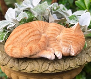 Vivid Arts Sleeping Ginger Cat Ornament