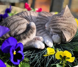 Vivid Arts Sleeping Tabby Cat Ornament