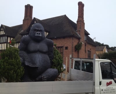 King Kong Arrives Back In Birmingham