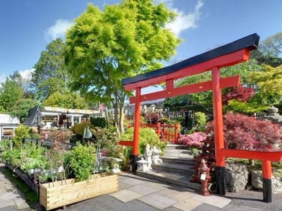 Garden Centres to Open on Wednesday 13th May 2020