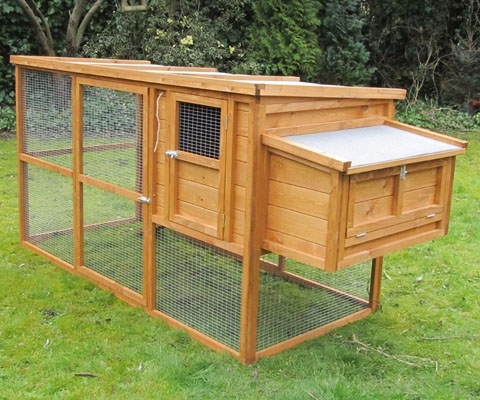 How To Build A Starter Chicken Coop