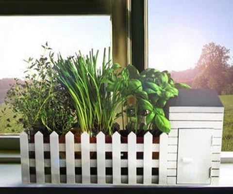 Amazon Report Reveals Popularity Of Indoor Gardening
