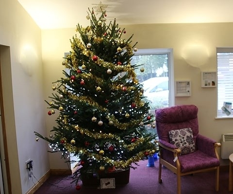 GardenSite Donates Christmas Tree To Hospice