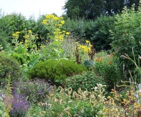 How To Plan A Herbaceous Border
