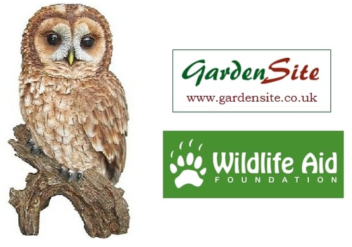 GardenSite Donates to the Wildlife Aid Foundation