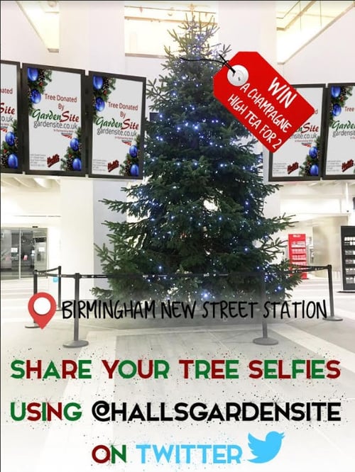 New Street Station Christmas Tree And Selfie Competition