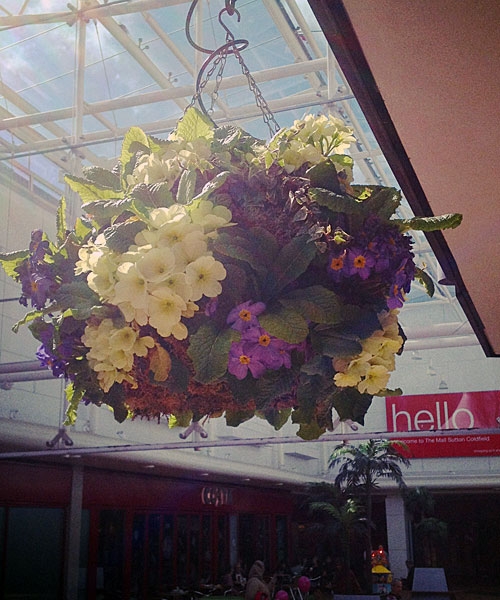 Hanging Baskets Supplied To Sutton Shopping Mall