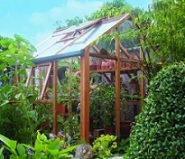 Brown finished greenhouse surrounded by plants and shrubs