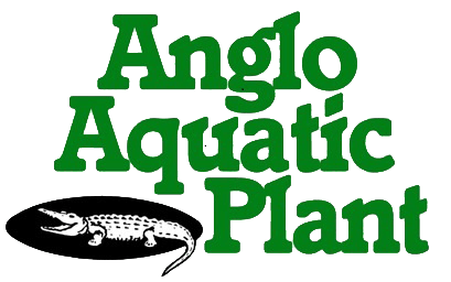 Anglo Aquatic Plant Logo