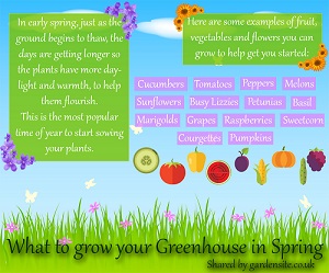 What you can grow in you greenhouse in spring